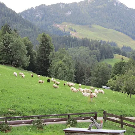 Ferienwohnunen-lenz-jenner-b 公寓 *